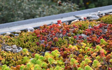 the cost of Fell Lane green roof installation