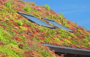 Fell Lane living roof systems